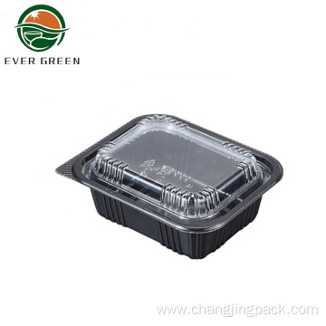 Wholesale Disposable PP Takeway Plastic Container Box